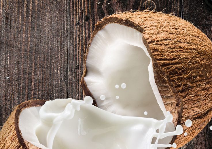 Peluang Bisnis Santan Rumahan Segar