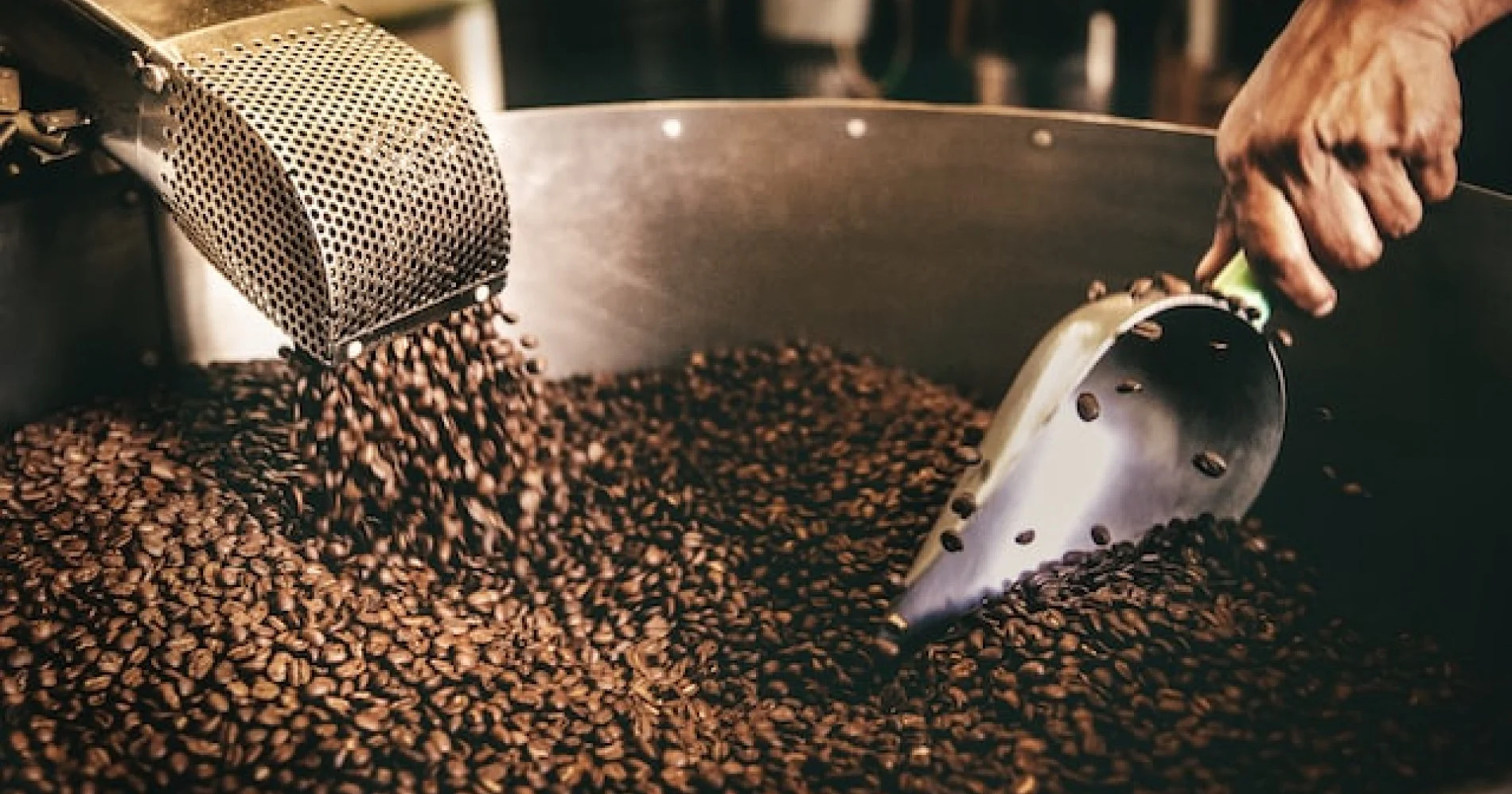 tingkat sangrai kopi dan pengaruhnya terhadap rasa