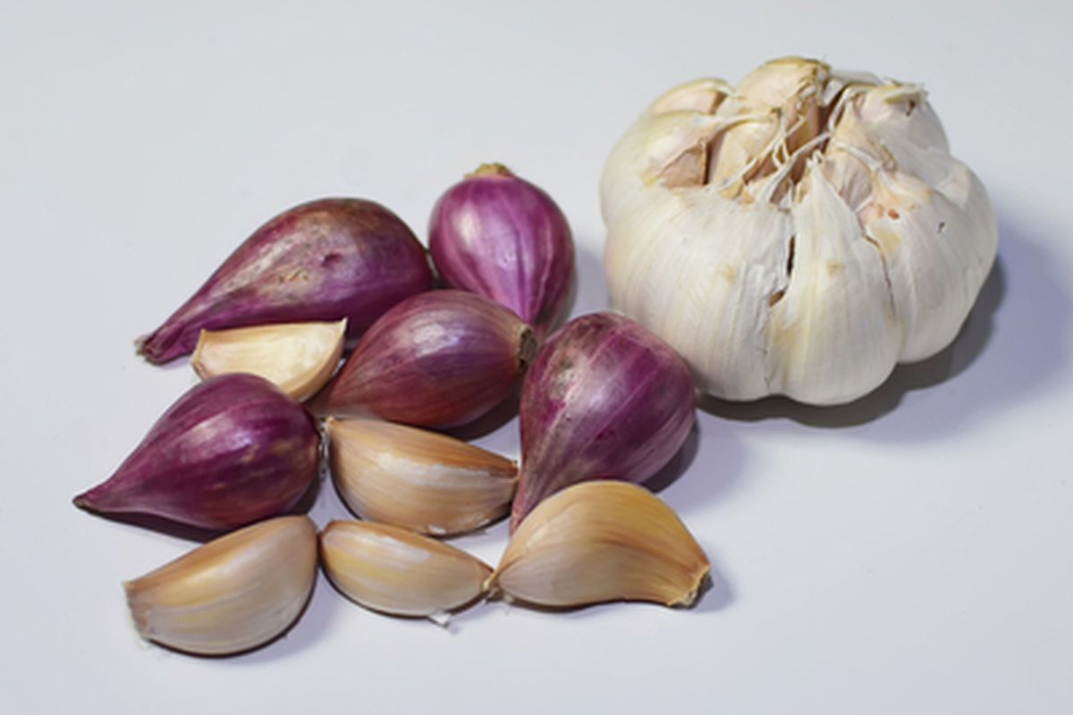 Solusi Praktis Olah Bawang