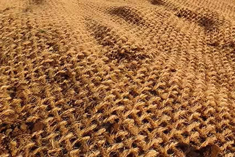 penggunaan cocomesh untuk perkebunan sawit