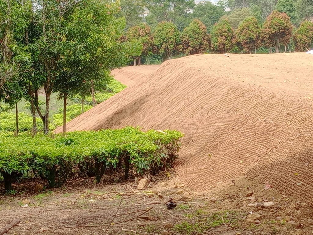 cocomesh untuk irigasi efisien di lahan kering