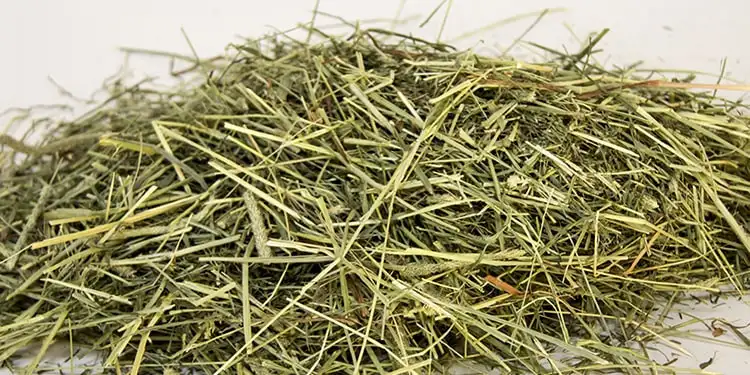 pengolahan rumput menjadi hay