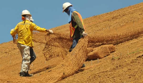 Cocomesh jaring penutup lahan gundul