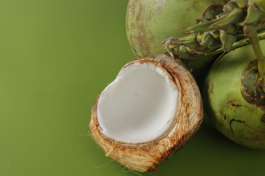 olahan dari kelapa untuk makanan