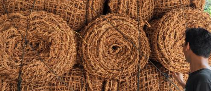 Alternatif Penutup Lahan Alami