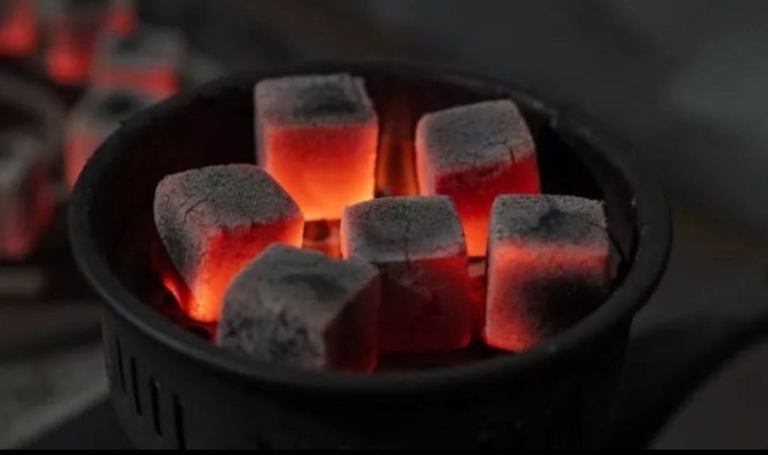 shisha coal and flavour