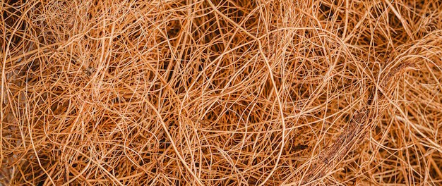 serat kelapa alami hasil proses pengolahan