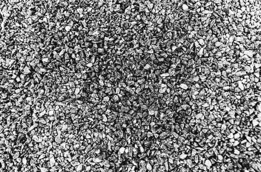 bisnis biji plastik bekas