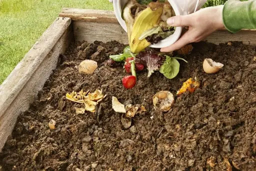 Cara Membuat Pupuk Organik Dengan Mesin