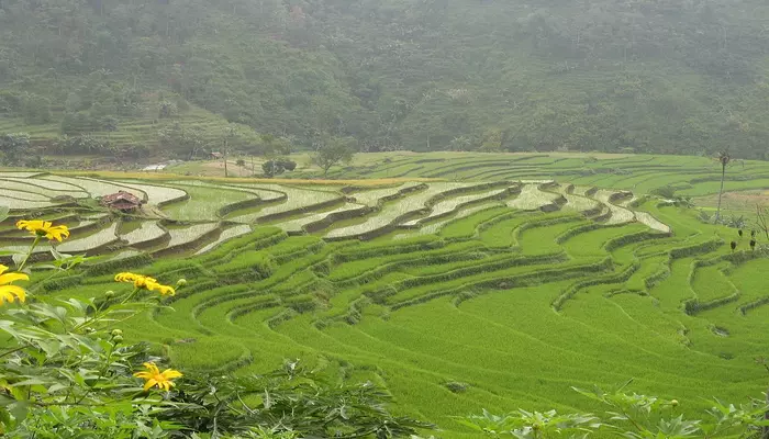 cara-mengatasi-erosi-tanah-berbukit