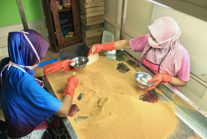peluang usaha gula kristal dari nira