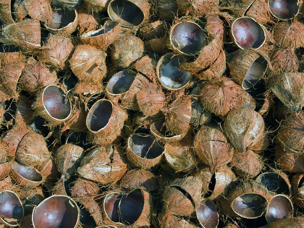 pemanfaatan limbah tempurung kelapa